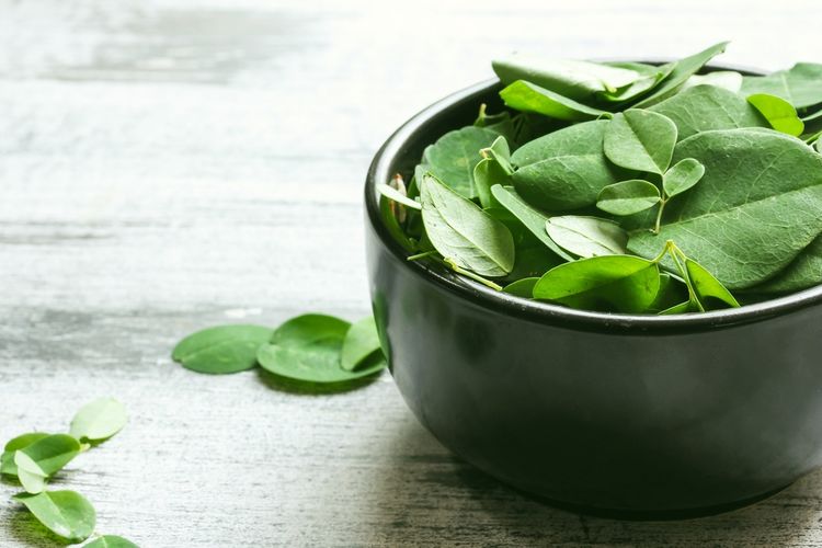 Manfaat daun kelor (Moringa oleifer) sangatlah beragam. Mulai dari melawan diabetes, membantu mencegah penyakit kardiovaskular, membantu menurunkan kolesterol, hingga menyehatkan mata.