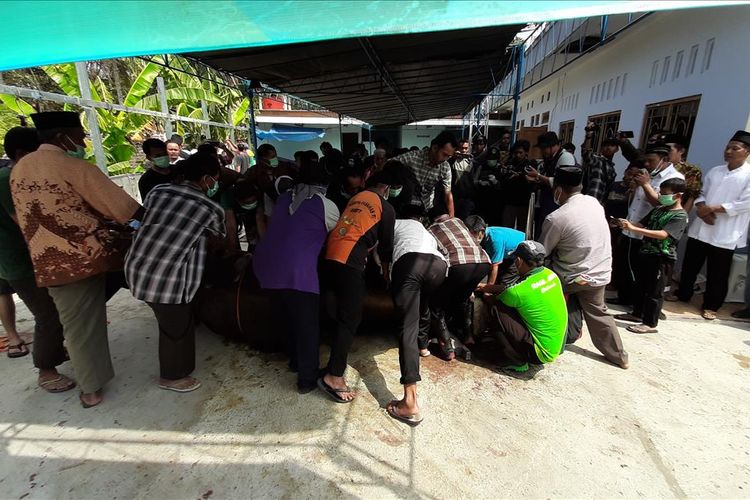 Suasana penyembelihan Hewan Kurban Bantuan Presiden Joko Widodo di Masjid Nurmaunah, Dusun Mulusan, Kecamatan Paliyan, Gunungkidul, Yogyakarya, Minggu (11/8/2019)