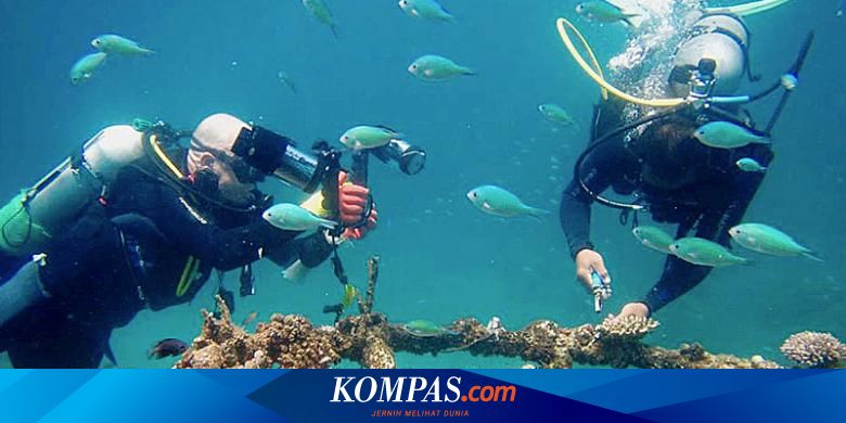 Pecalang Segara Penjaga Pesisir Utara Bali Halaman All Kompas Com