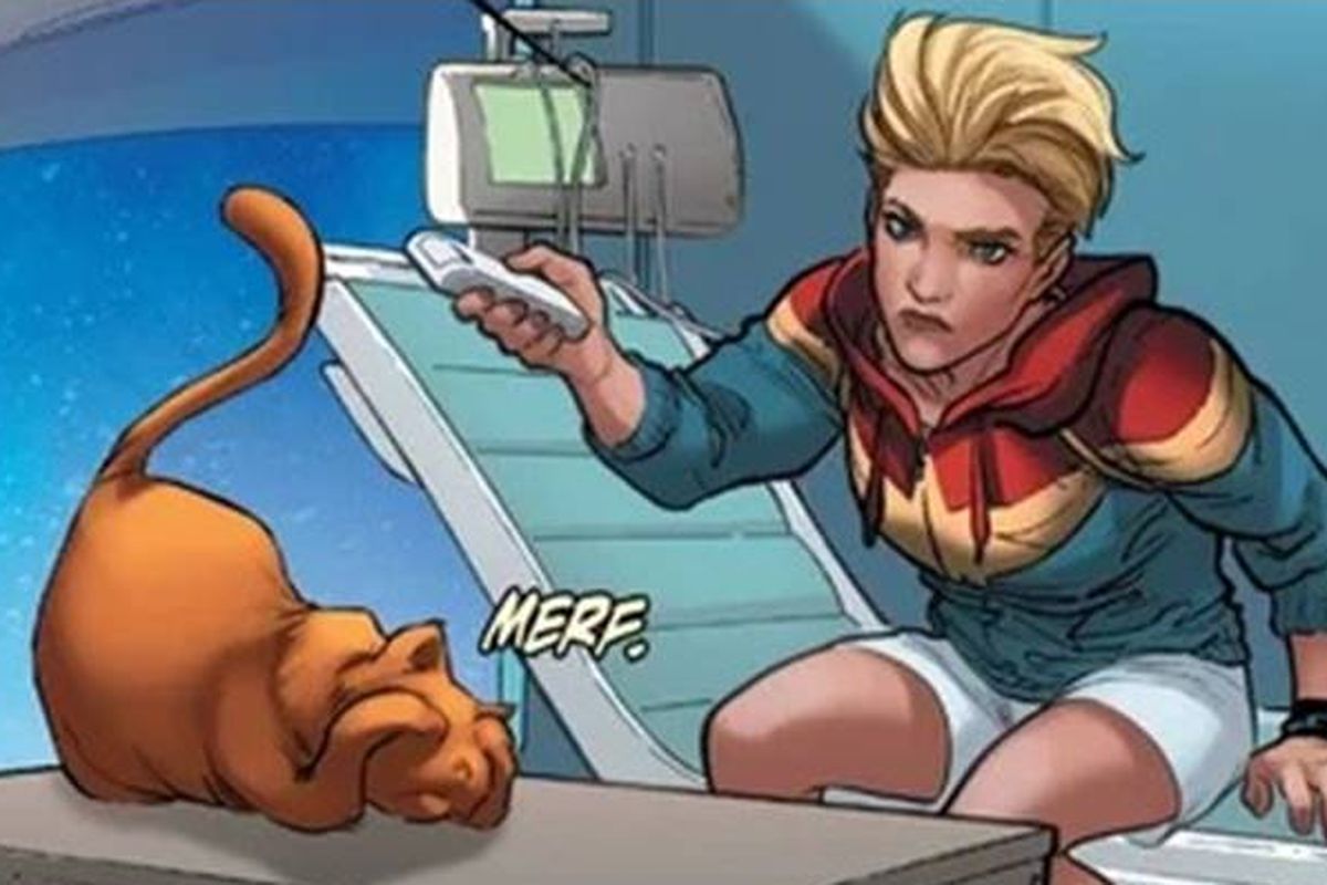 Captain Marvel bersama kucing kesayangannya, Chewie. Rabu, (19/9/2018).