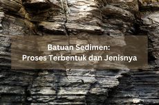 Batuan Sedimen: Proses Terbentuk dan Jenisnya