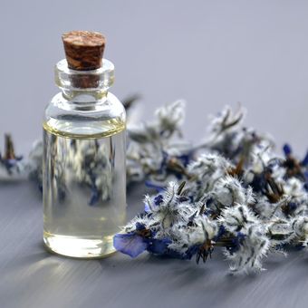 Ilustrasi essential oil lavender, minyak lavender.
