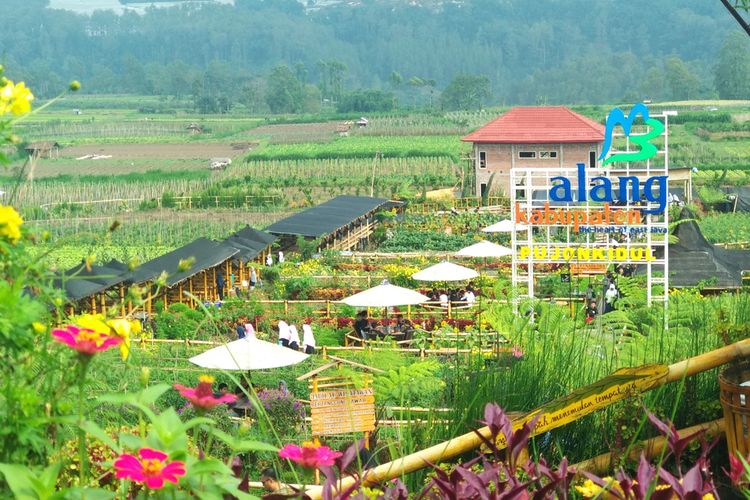 Cafe Sawah Pujon Kidul di Malang sebagai salah satu tempat wisata Malang Barat.