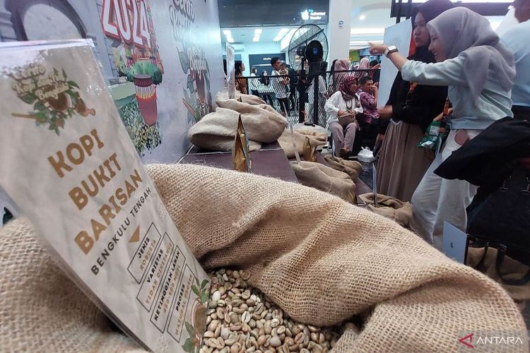 Bank Indonesia memperkenalkan berbagai macam jenis kopi unggulan Provinsi Bengkulu lewat Cerita Kopi, Bencoolen Fest 2024, di Bengkulu, Minggu. (1/11/2024). 
