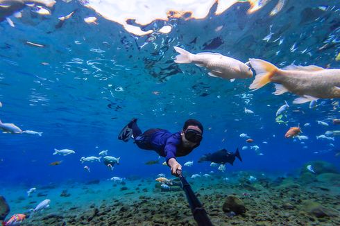 Kedalaman Umbul Ponggok di Klaten, Sewa Pelampung jika Tak Bisa Renang