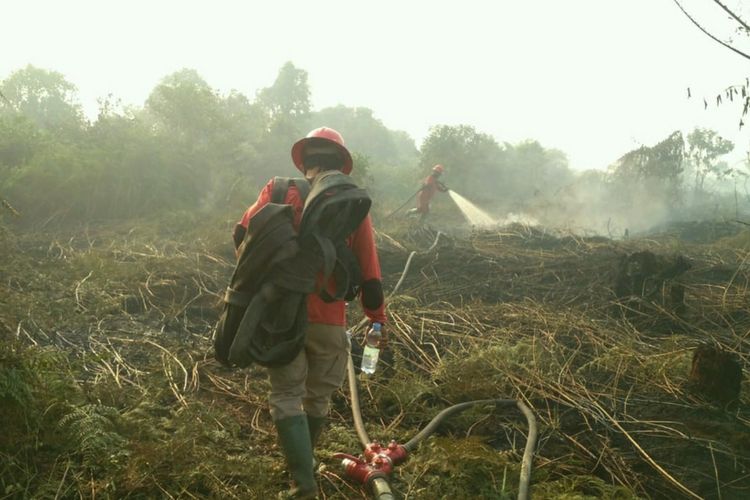 Petugas Manggala Agni memadamkan titik api karhutla di Kota Dumai, Riau, Selasa (23/2/2021) lalu.