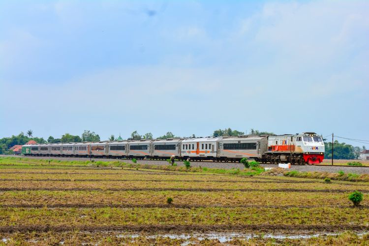KA Pandalungan tujuan Pasarsenen saat melintas di petak jalan antara Stasiun Rambipuji-Bangsalsari