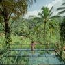 Alas Harum Bali, Wisata Hits Ayunan Ekstrem di Tengah Sawah