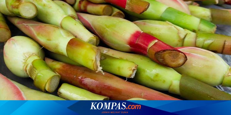 Pakar IPB: Rempah dan Makanan Lokal Ini Dapat Cegah Covid-19