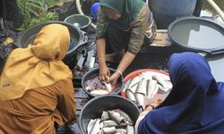 Perubahan Iklim Beri Dampak Terhadap Kehidupan pada Anak dan Perempuan Pesisir