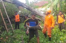 Papan Billboard di Gedung Sarinah Terbakar, Kini Api Sudah Padam