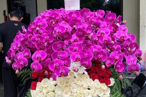 Gibran Kirim Hadiah untuk Megawati, Bunga Anggrek Ungu dan Mawar Merah-Putih