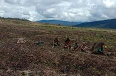 Penerapan Bioteknologi Benih Jadi Kunci Hadapi Krisis Pangan