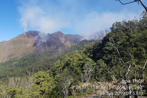 Hutan Bukit Kondo di Taman Nasional Gunung Rinjani Terbakar