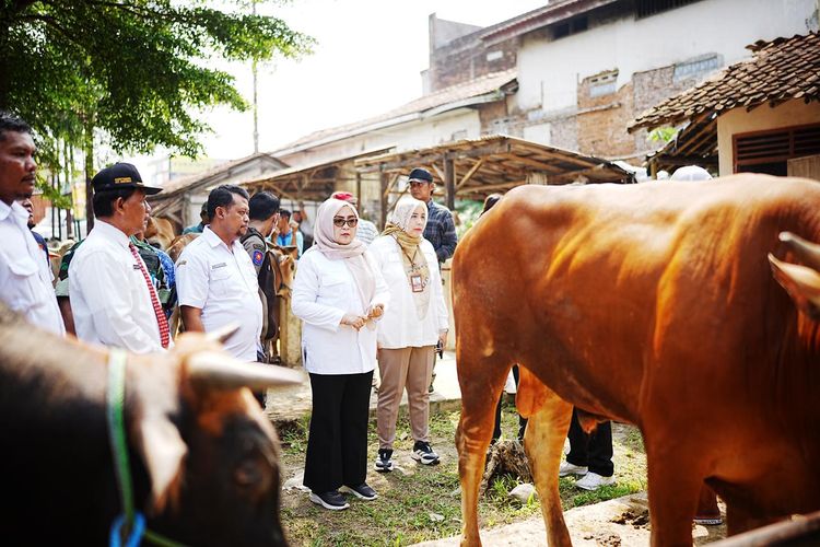Wabup Banyumas Ungkap Penyebab Turunnya Daya Beli Hewan Kurban