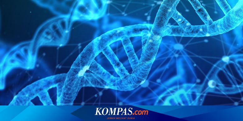 Mengenal Dna Gen Dan Cara Keduanya Memengaruhi Seseorang Halaman All Kompas Com