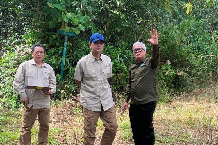 Orangutan Terancam, Menteri Transmigrasi Janji Tuntaskan Sengketa Lahan BOSF di Kaltim