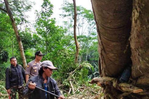 Tebing 40 Meter Longsor, Tutup Akses Jalan di Selatan Cianjur