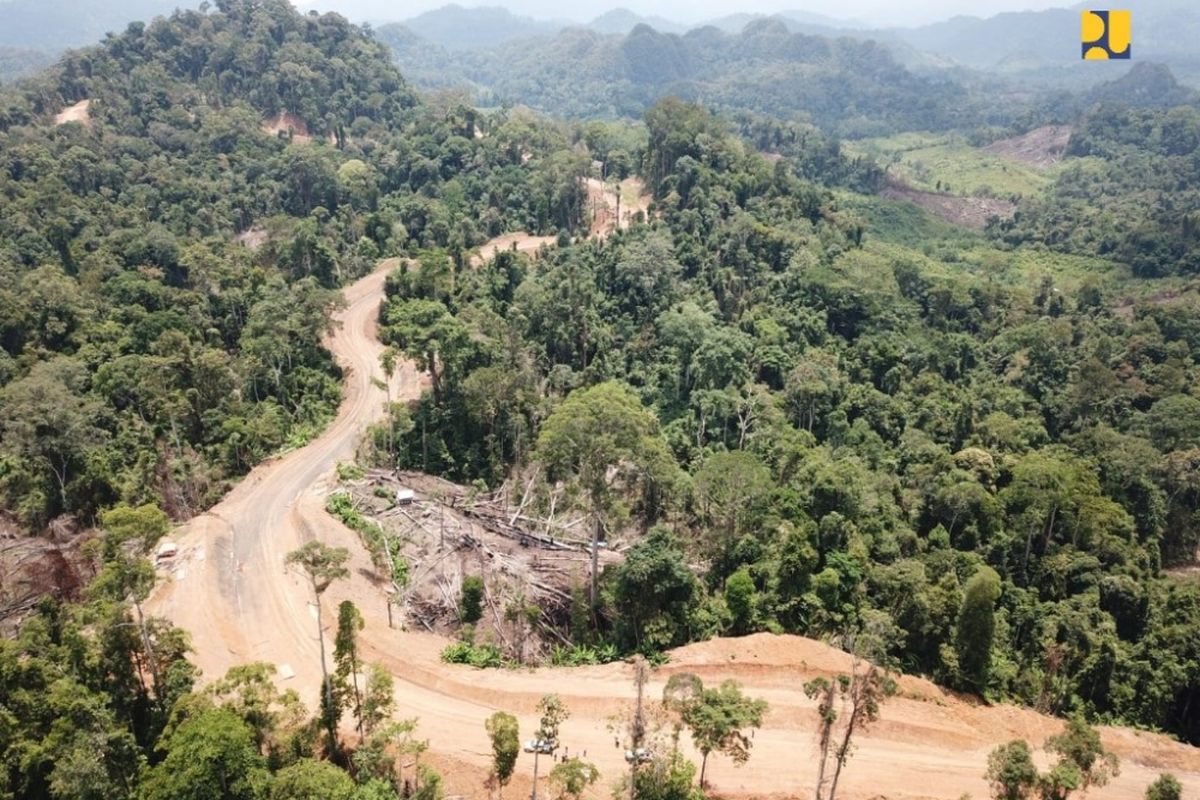 Jalan paralel perbatasan Kaltim ruas batas Kalbar - Tiong Ohang sepanjang 15 kilometer.