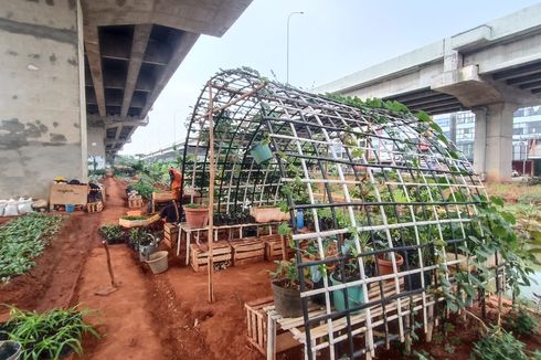 Mulanya Kumuh, Kolong Tol Becakayu di Cipinang Melayu Jadi Lahan 