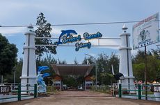 Safari Beach Jateng, Bisa Nonton Lumba-lumba Hidung Botol