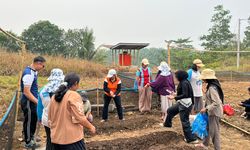 Dorong Ketahanan Pangan, Transmigran Gerbang Mas Perkasa dan TEP UI Sulap Lahan Tandus Jadi Pekarangan