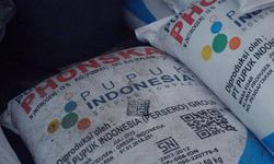 Puji Gebrakan Mentan Amran, Perpadi: Penambahan Alokasi Pupuk Prestasi Luar Biasa