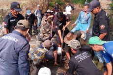 Irigasi Jebol, Ratusan Warga Cibeber Cianjur Bangun Tanggul Darurat