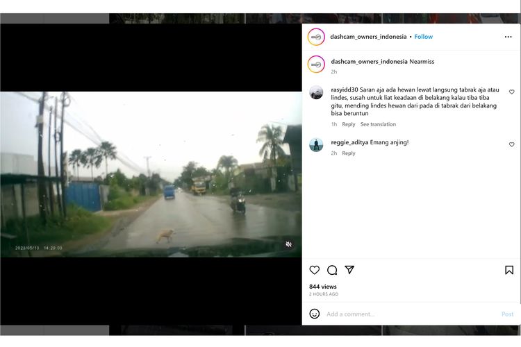 Video viral di media sosial memperlihatkan pengemudi mobil melakukan pengereman keras untuk menghindari menabrak anjing yang akan menyebrang.
