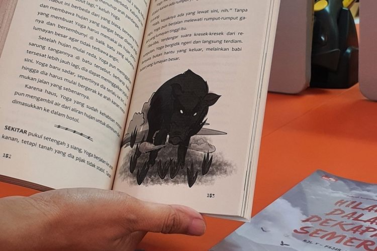 Buku Hilang dalam Dekapan Semeru