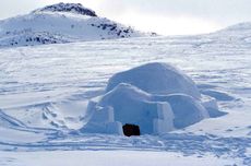 Igloo, Rumah yang Terbuat dari Balok Es