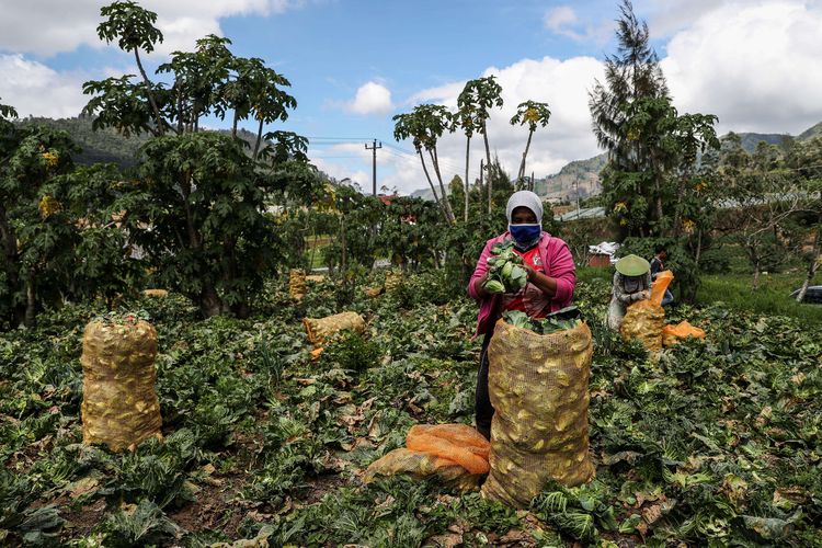 Kegiatan ekonomi yang cocok dilakukan di dataran tinggi adalah pertanian terutama sayur dan buah. Selain itu kegiatan ekonomi masyarakat di dataran tinggi adalah pariwisata. Sebenarnya ada banyak kegiatan ekonomi di dataran tinggi antara lain pertambangan hingga penginapan.