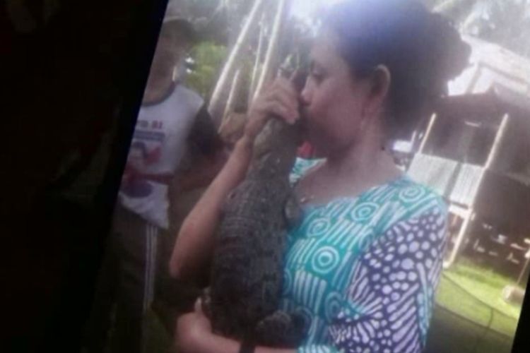 Buaya Berjari 5 yang Terperangkap Jaring Nelayan ini Diberi Nama Ainun