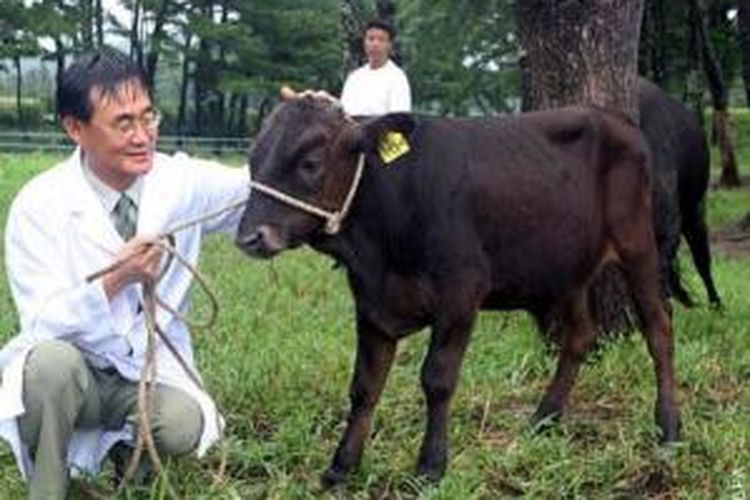 Park Se Pill, profesor di Pusat Riset Stem Cell Universitas Nasional Jeju, pada 2009 berfoto bersama seekor sapi hitam hasil klon pertama yang dibuat dia bersama timnya. Foto itu diambil di sebuah pusat promosi ternak di Kota Jeju, Korea Selatan.
