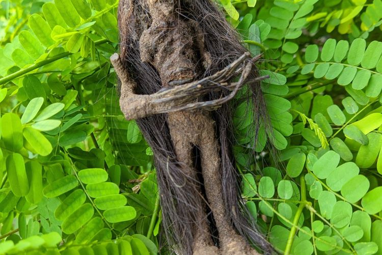 Ilustrasi foto Jenglot.