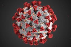 Di Balik Ilustrasi Virus Corona yang Ikonik, Siapa Pembuatnya?