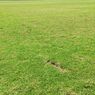 Kompetisi Piala AFF U-19 Selesai Digelar, Kondisi Rumput Lapangan Stadion Candrabhaga Rusak Hampir 50 Persen