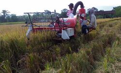 Dampak Positif Bantuan Mesin Pertanian Makin Dirasakan Petani