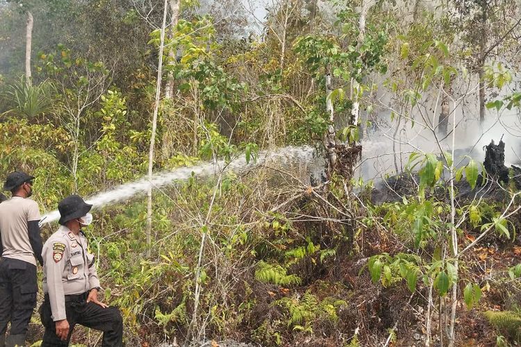 Sempat Padam, Karhutla Kembali Terjadi di Biak Numfor