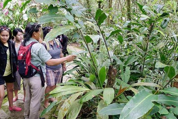 Keanekaragaman Hayati Pengertian Dan Jenisnya Halaman All Kompas Com