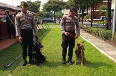 MRT Normal Lagi, Atap Lintasan yang Tertimpa Pohon Tumbang Masih Terbuka