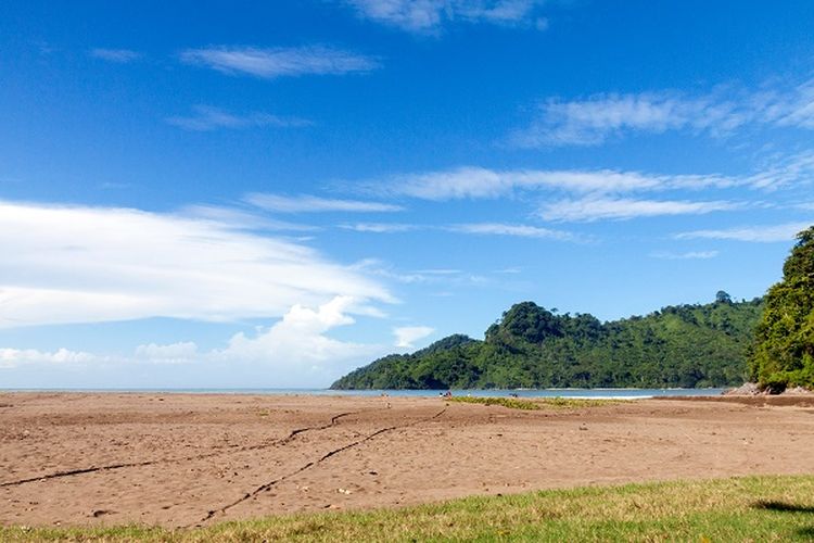 Pantai Bandealit tempat goa jepang, taman nasional meru betiri, banyuwangi DOK. Shutterstock/Jhon Images