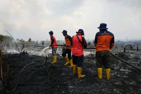 60 Hektar Lahan di Kabupaten Sambas Terbakar, Hampir Sepekan Api Belum Padam
