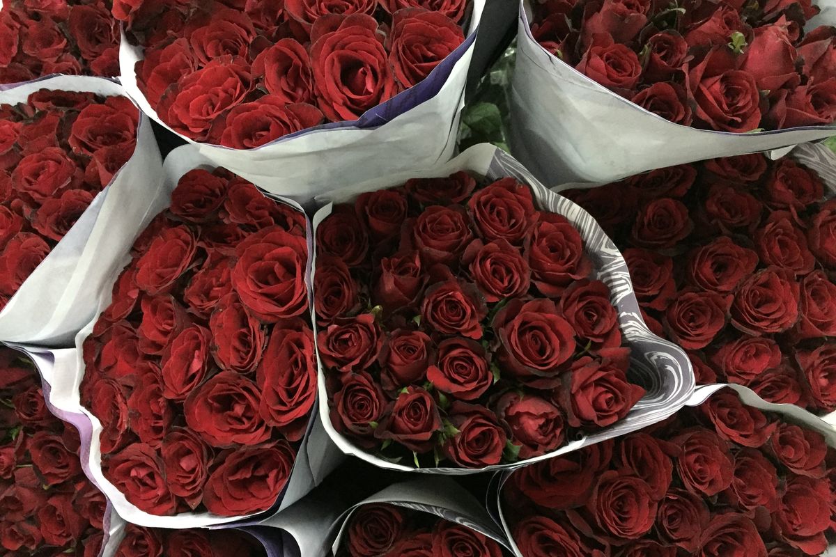 Bunga mawar di Pasar Rawa Belong, bunga yang paling dicari menjelang hari valentine
