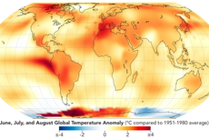 NASA Konfirmasi Musim Panas 2023 Jadi yang Terpanas Sepanjang Sejarah