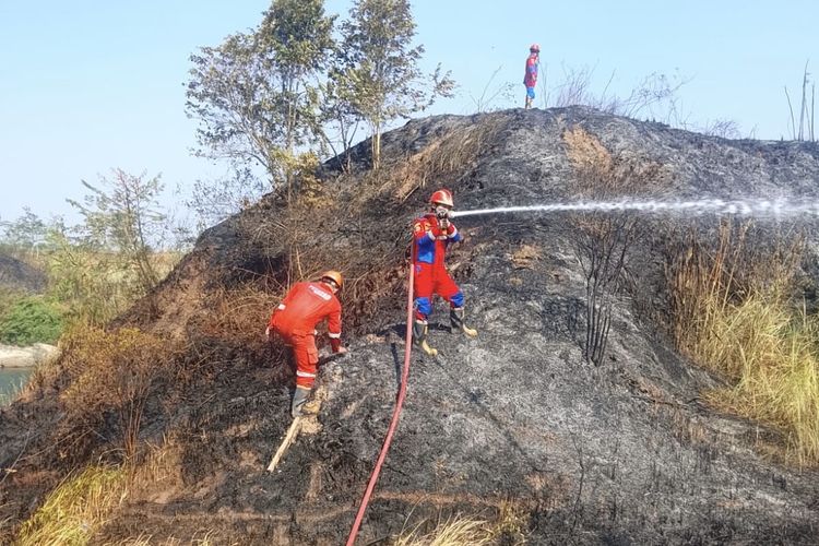 Orang Iseng Bakar Ilalang, Lahan Seluas 3,5 Hektar di Indramayu Terbakar, Nyaris Hanguskan Greenhouse Melon