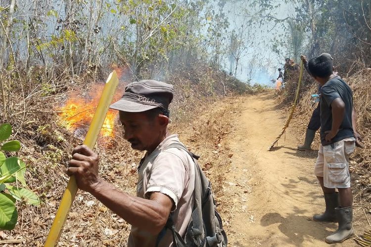 Niat Bakar Sisa Serbuk Kayu, 10 Hektar Kebun Cengkih Warga Banggai Laut Ludes Dilahap Api