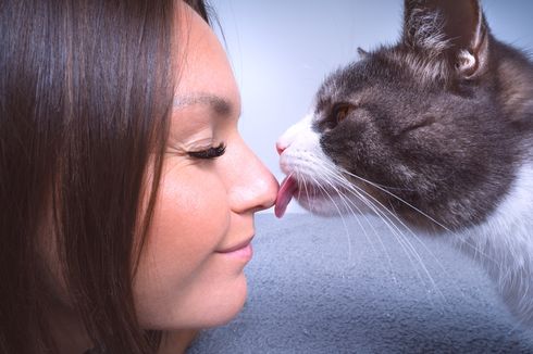 7 Arti Kucing Menjilati Pemiliknya, dari Sayang sampai Ingin Tenang