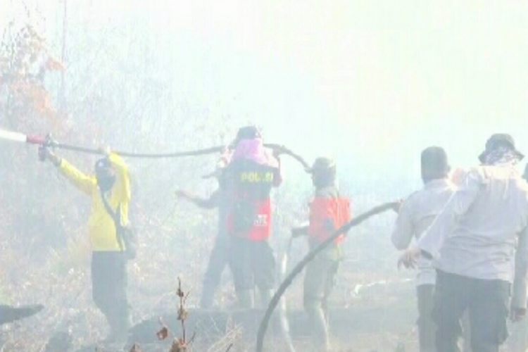 Tim Satgas Karhutla berjibaku mematikan kebakaran lahan gambut di Kelurahan Perkul, Kecamatan Rupat, Kabupaten Bengkalis, Riau, Rabu (20/2/2019).