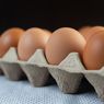 Penyebab AS Dilanda Gelombang Kenaikan Harga Telur Ayam